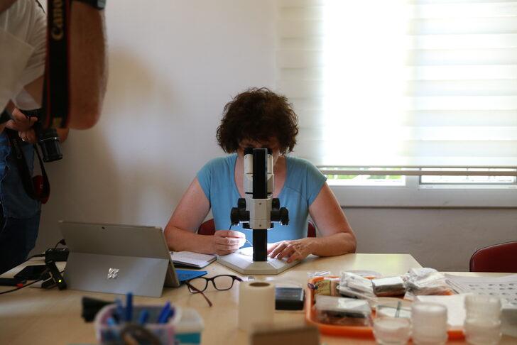 Adana'daki kazılarda "3 bin yıllık" tohum bulundu G3