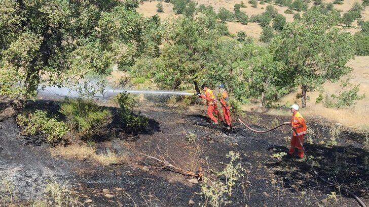 Bingöl'de ormanlık alanda çıkan yangın söndürüldü G1