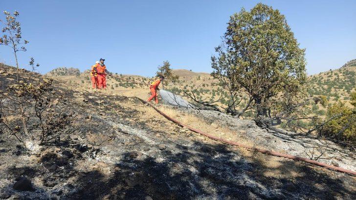 Bingöl'de ormanlık alanda çıkan yangın söndürüldü G2