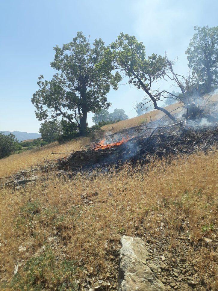 Bingöl'de ormanlık alanda çıkan yangın söndürüldü G4