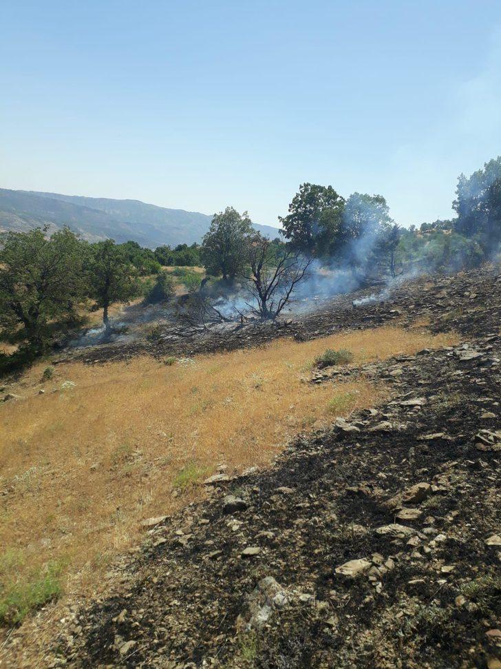 Bingöl'de ormanlık alanda çıkan yangın söndürüldü G5