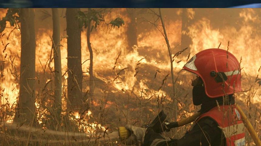 İspanya'da aşırı sıcaklar nedeniyle 30'dan farklı noktada orman yangını!