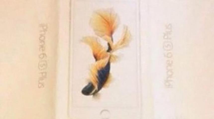 iPhone 6s Plus&rsquo;ın kutusu g&ouml;r&uuml;nt&uuml;lendi!