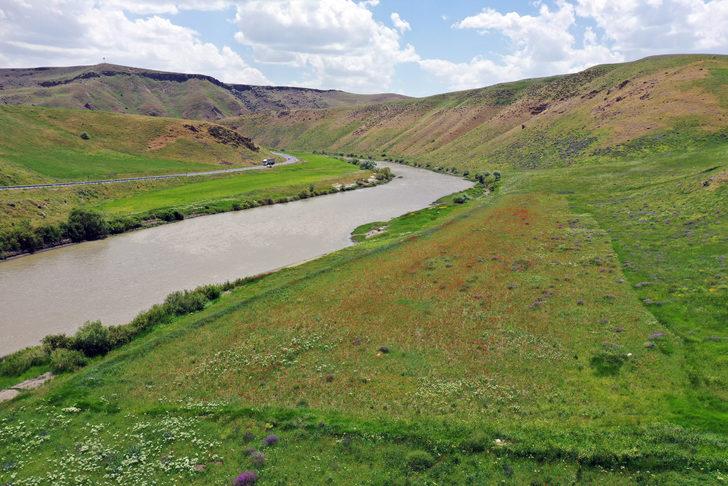 Murat Nehri'nin çevresi kırmızı ve mor çiçeklerle kaplandı G2