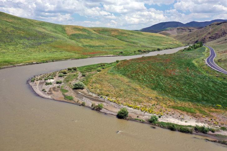 Murat Nehri'nin çevresi kırmızı ve mor çiçeklerle kaplandı G5