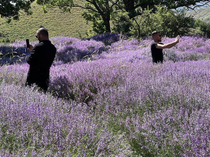 Bingöl'de doğa lavantalarla renklendi G3