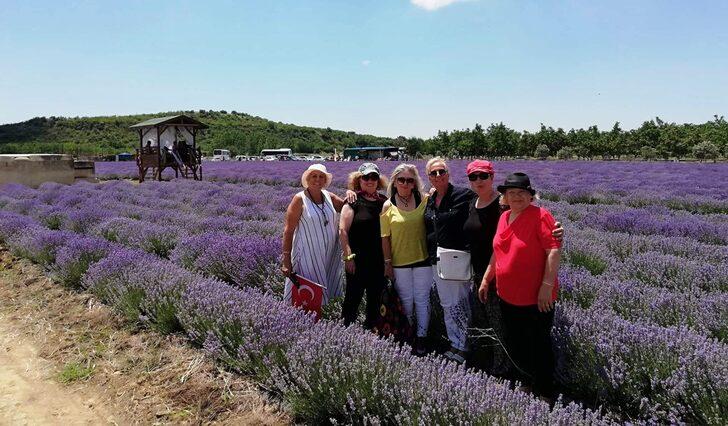 Çanakkale'de "2. Lavantalı Tarla Günleri" etkinliği düzenlendi G3