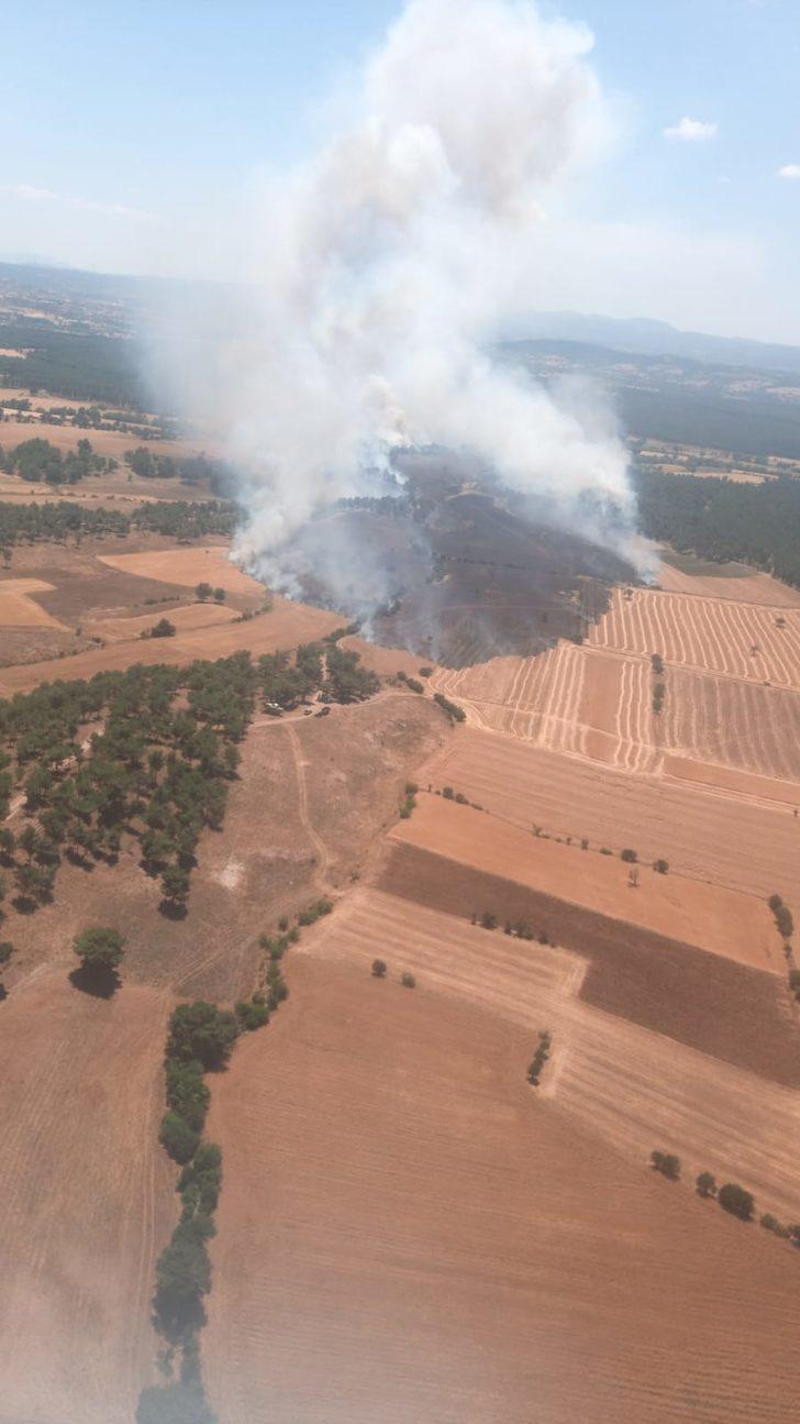 GÜNCELLEME - Çanakkale'de zirai alan ve orman yangınları kontrol altına alındı G3