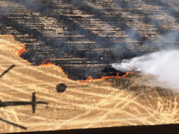 Balıkesir'de tarım arazisinde çıkan yangın söndürüldü G1