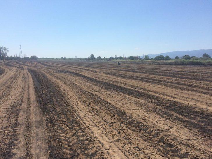 Balıkesir'de tarım arazisinde çıkan yangın söndürüldü G5