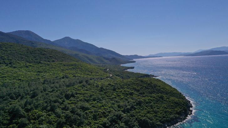 Dilek Yarımadası Milli Parkı'nı hafta sonu yaklaşık 21 bin kişi ziyaret etti G1