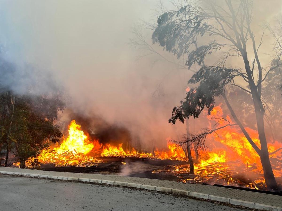 İzmir'de Doğal Yaşam Parkı yakınında &ccedil;ıkan yangın kontrol altına alındı