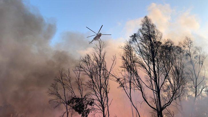 İzmir'de Doğal Yaşam Parkı yakınında çıkan yangın kontrol altına alındı G2