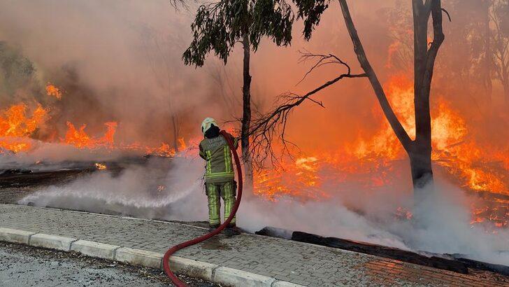 İzmir'de Doğal Yaşam Parkı yakınında çıkan yangın kontrol altına alındı G3
