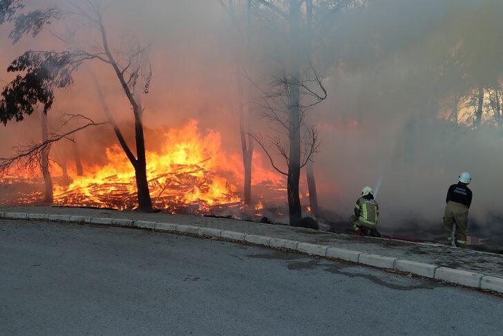 İzmir'de Doğal Yaşam Parkı yakınında çıkan yangın kontrol altına alındı G4