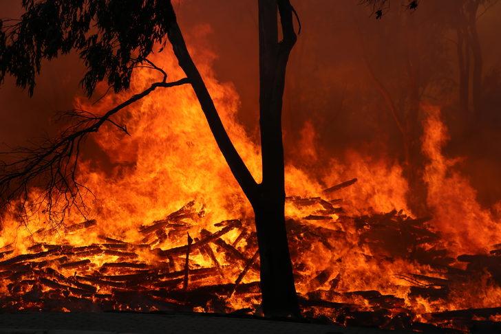 İzmir'de Doğal Yaşam Parkı yakınında çıkan yangın kontrol altına alındı G5