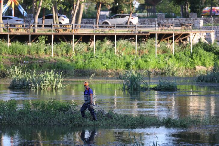 Tunca Nehri'ne düşen kedi yavrusu, kurtarma ekiplerinden korkup yüzerek kıyıya çıktı G5