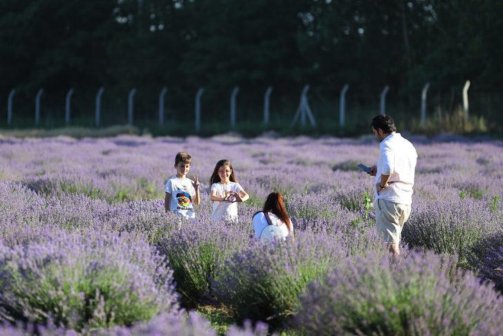 Edirne'de "Lavanta Tarla Günleri" sürüyor G2