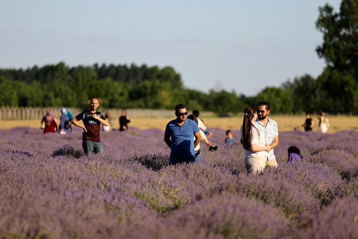 Edirne'de "Lavanta Tarla Günleri" sürüyor G4