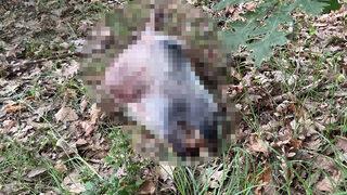 Yer: Tekirdağ! Başıları kesilmiş, derileri yüzülmüş şekilde bulundular, korkunç şüphe