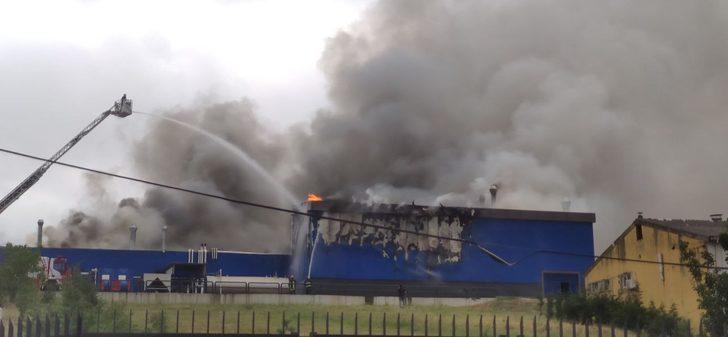 Kocaeli'de kimya fabrikasında yangın çıktı G1