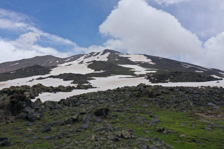 Süphan Dağı'nın eteklerinde yaz, zirvesinde "kara kış" hakim G1