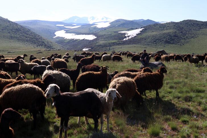 Süphan Dağı'nın eteklerinde yaz, zirvesinde "kara kış" hakim G5