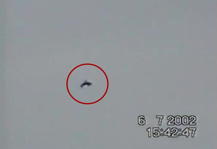 Uzaylılar tarafından kaçırıldığını iddia etti! UFO avcısı, bu kez "uçan yunus" görüntüleriyle yankı uyandırdı