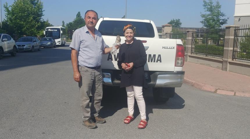 Kayseri'de yaralı leylek ve yavru kerkenez korumaya alındı