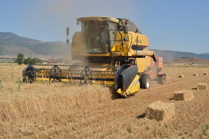 Gaziantep'te hububat hasadı başladı G2