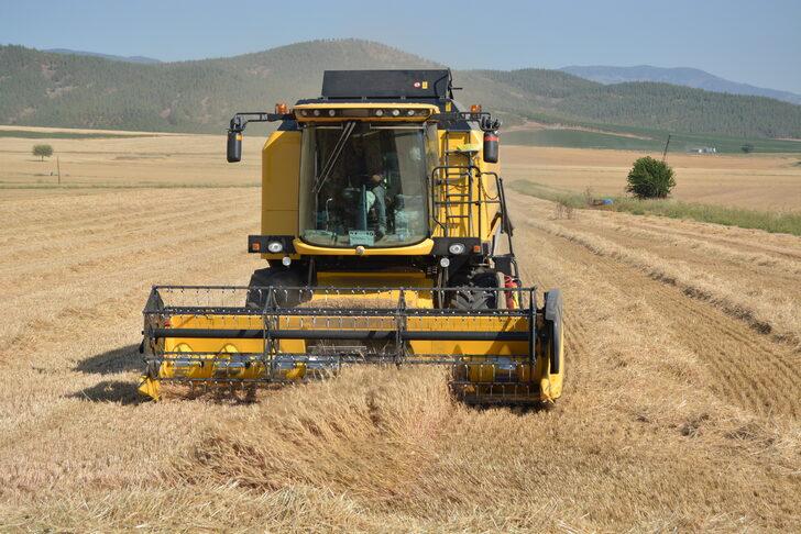 Gaziantep'te hububat hasadı başladı G3