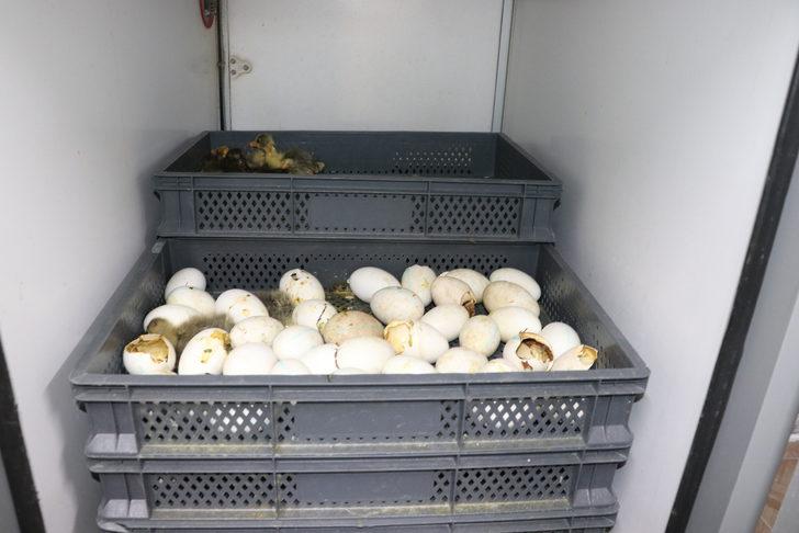 Yozgat'ta eski cezaevi binası tarımsal üretim merkezi oldu G2