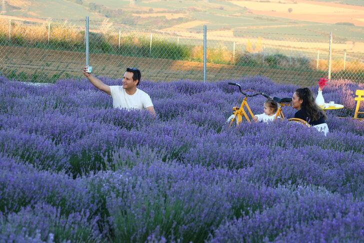 "Tekirdağ Lavanta Günleri"' 24-25 Haziran'da gerçekleştirilecek G3