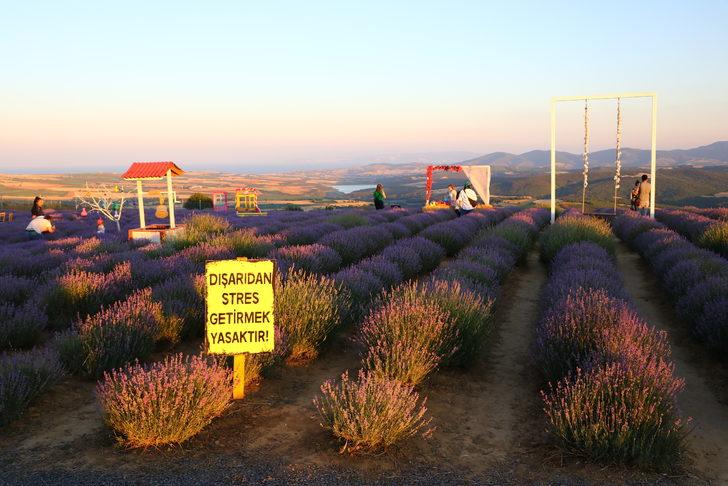"Tekirdağ Lavanta Günleri"' 24-25 Haziran'da gerçekleştirilecek G4