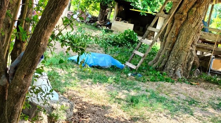 Adana'da ağaçtan düştüğü tahmin edilen kişi hayatını kaybetti