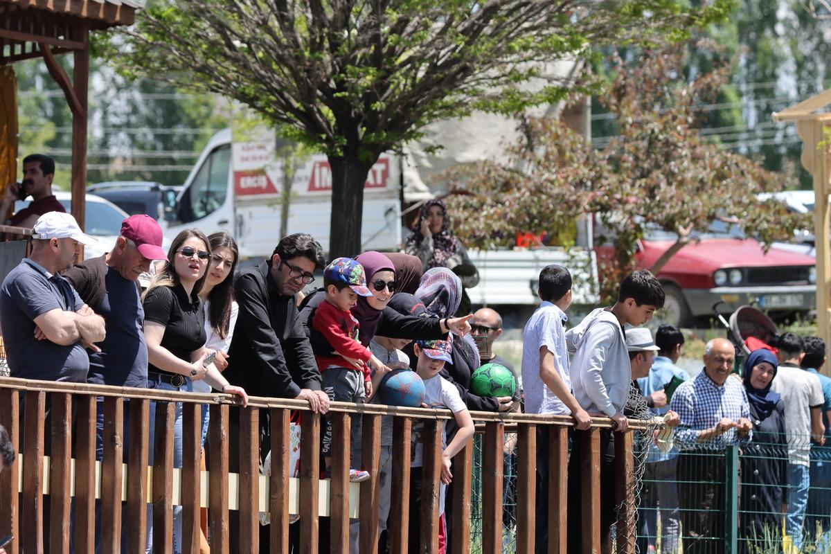 İnci kefallerinin tatlı sulara g&ouml;&ccedil;&uuml; s&uuml;r&uuml;yor