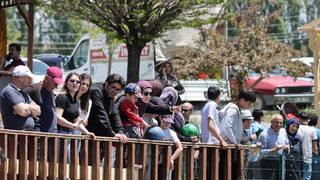 İnci kefallerinin tatlı sulara göçü sürüyor