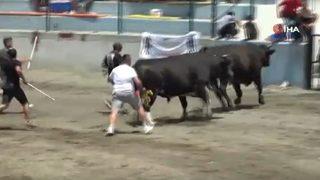 Korku dolu anlar! Hızını alamayan kızgın boğa sahibini öldürüyordu