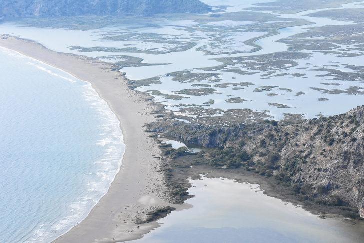 Muğla'da İztuzu Plajı'ndaki caretta caretta yuva sayısı 200'e ulaştı G1