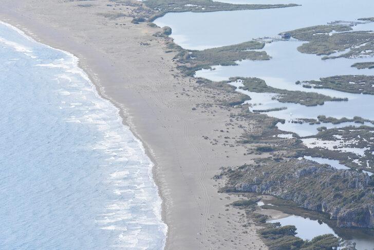 Muğla'da İztuzu Plajı'ndaki caretta caretta yuva sayısı 200'e ulaştı G2