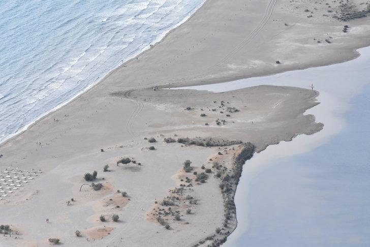 Muğla'da İztuzu Plajı'ndaki caretta caretta yuva sayısı 200'e ulaştı G4