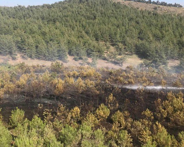 Gaziantep'te çıkan örtü yangını söndürüldü 