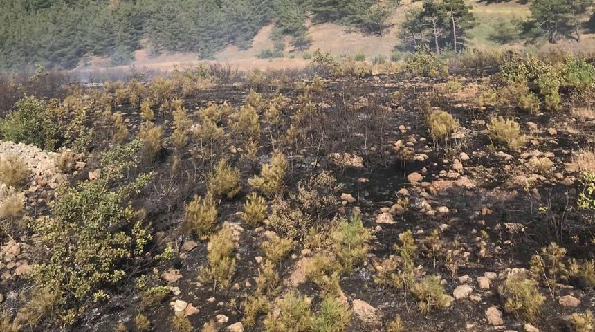 Gaziantep'te çıkan örtü yangını söndürüldü