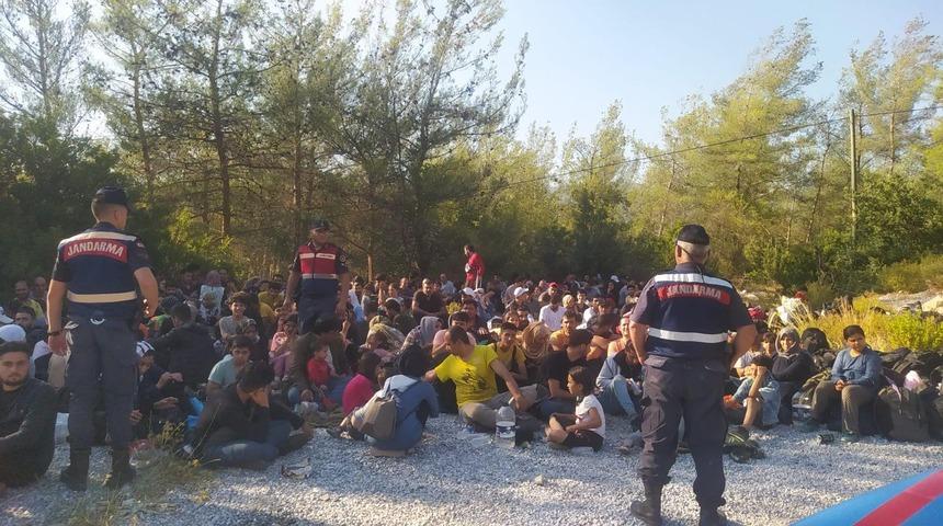 Muğla'da ormanlık alanda 273 düzensiz göçmen yakalandı