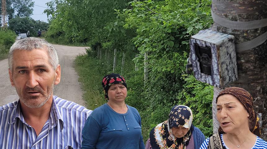 Gündüz vakti de iniyorlar! Kastamonu'da bir mahalleyi korku sardı: Görünce konuşamadım, sesim kısıldı