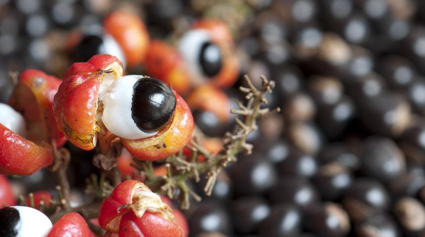 Yasak ve tehlikeli: Yediğiniz içtiğiniz çoğu şeyde var! Ölümcül risk çok yüksek! Önce kalp ritmini bozuyor...