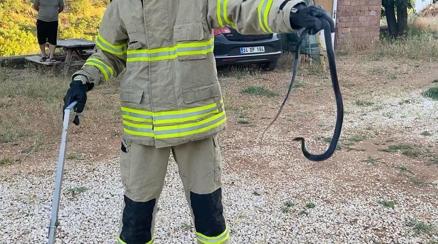 Tunceli'de binaya giren yılanı itfaiye ekipleri &ccedil;ıkardı