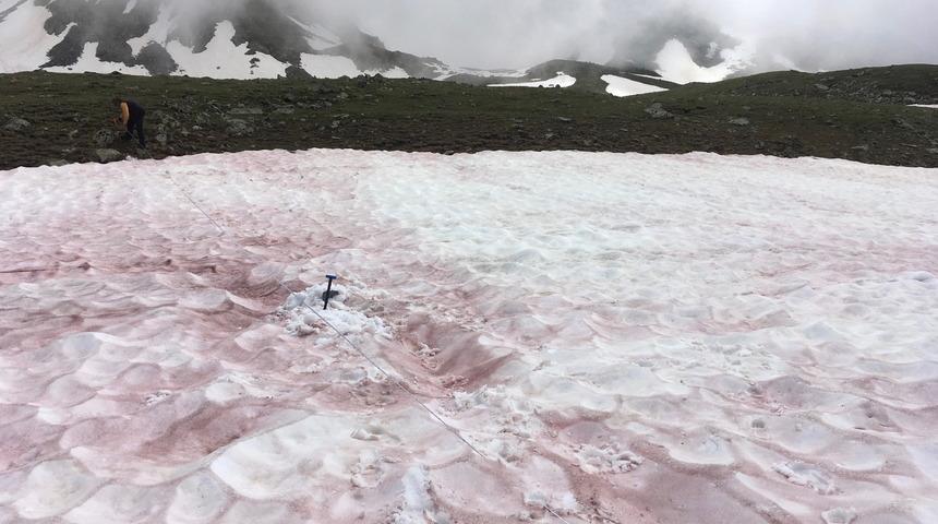 Görenler şaşkınlığı gizleyemedi! Kırmızı kar, bilim insanlarını harekete geçirdi