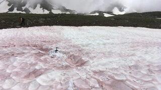 Görenler şaşkınlığı gizleyemedi! Kırmızı kar, bilim insanlarını harekete geçirdi