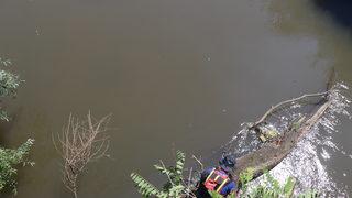 Edirne Sarayı'na bağlanan tarihi köprüde su akışını engelleyen kütükler temizlendi